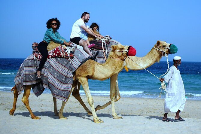 Private Full Day Desert Safari - Price and value: what you’re really buying for $185.43