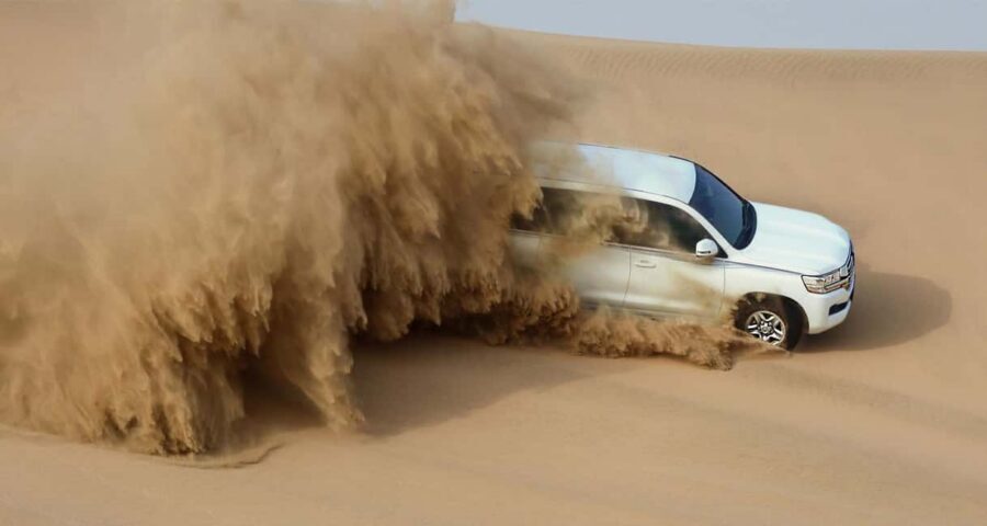 Private Full-Day Desert Tour - Key highlights to look for