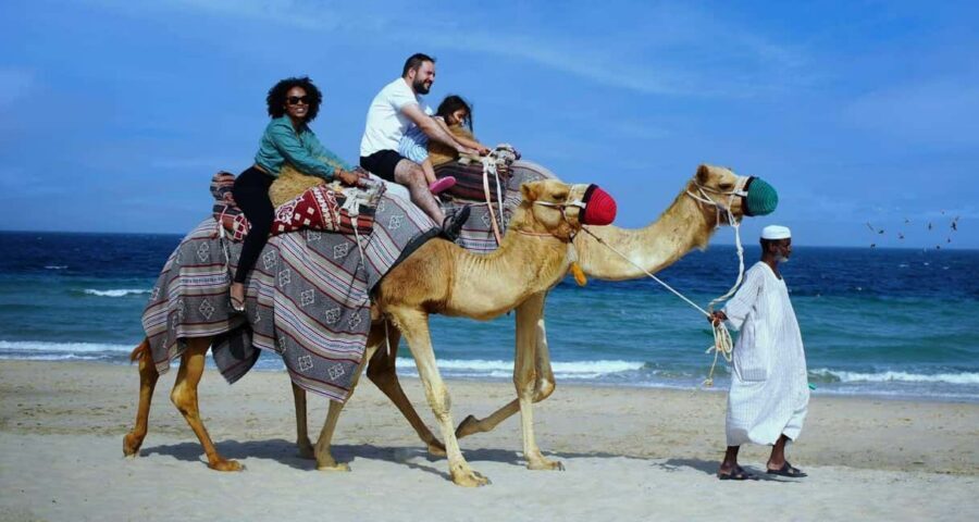 Private Full-Day Desert Tour - Land Cruiser dune bashing: the adrenaline part that sets the tone