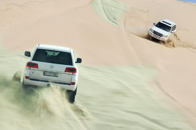 Private Half Day Desert Safari with Camel Ride - Private Land Cruiser Pickup and the Ride You Should Expect