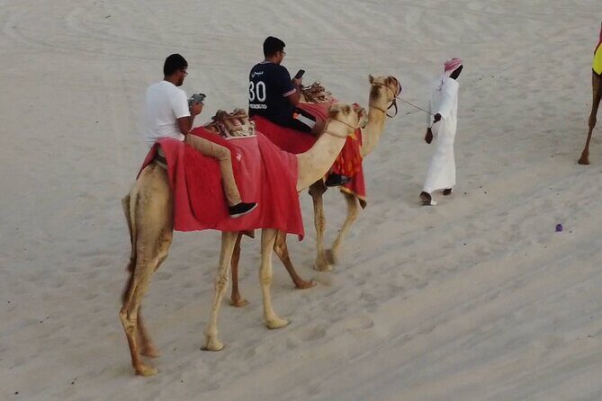 Private Horseback Riding Experience in Doha - The ride itself in Sealine Desert: calm views, sand movement, and speed when it fits