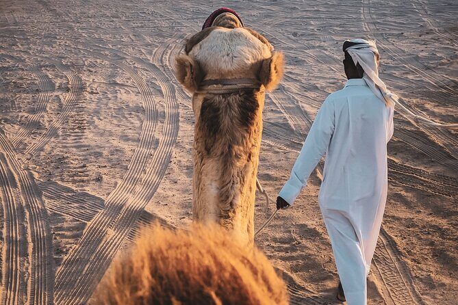 Private Horseback Riding Experience in Doha - Price and value: is $140 per person fair?