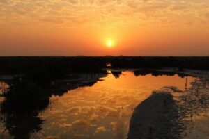 Private North of Qatar: Zubara Fort | Jumail Village | Al-Thakhira Mangroves - Al-Thakhira Beach and Mangroves: Qatar’s Old Forest on a Coastal Edge