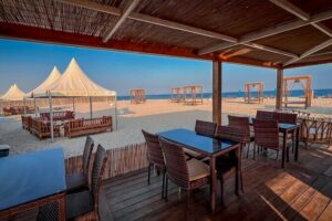 Private Overnight Desert Safari, Dune bashing, dinner & Breakfast - Timing and comfort: 2:00 pm start and an 18-hour day that feels longer (in a good way)
