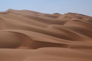 Qatar Desert Safari Adventure Experience . - The Main Event: 2 Hours of Dune Bashing