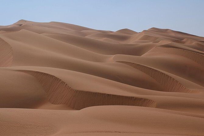 Qatar Desert Safari Adventure Experience . - The Main Event: 2 Hours of Dune Bashing