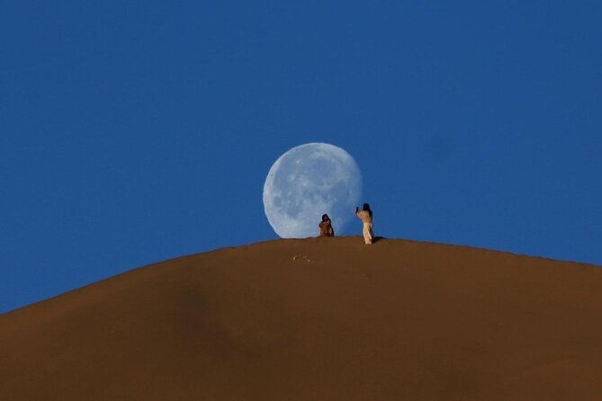 Qatar Desert Safari, Dune Bashing (Private Safari Tour) - Stop 4: Singing Sand Dunes, Quad/Buggy Time, and Panoramic Views