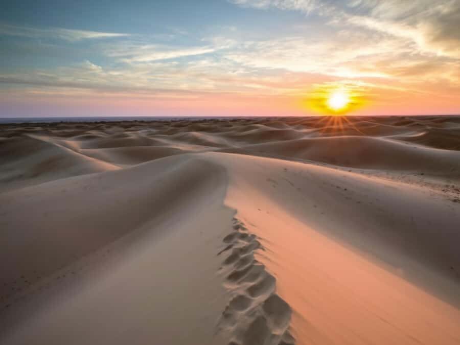 Qatar Desert Safari, Quad bike, Camel Ride and Sandboarding - Quad Biking: Optional, But Worth Planning For