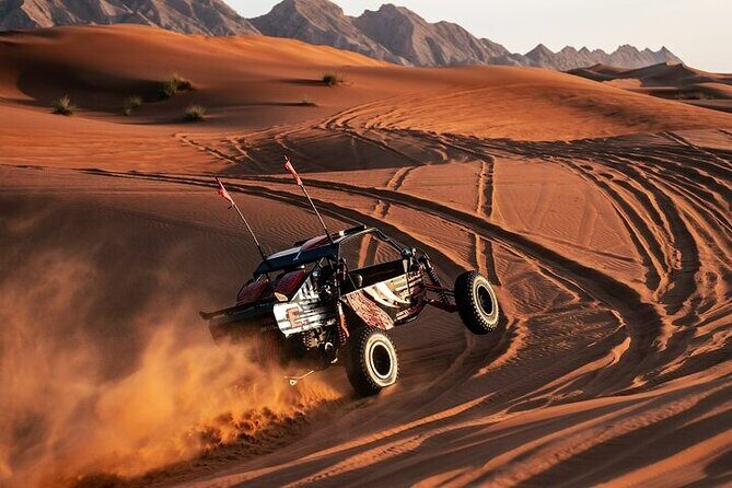 Qatar Desert Thrills Self Ride Dune Buggy Safari and Camel Ride - Key highlights worth caring about
