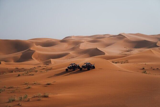 Qatar Desert Thrills Self Ride Dune Buggy Safari and Camel Ride - Camel ride after the ATV: short tradition, easy add-on