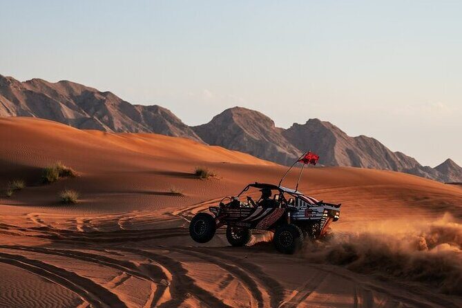 Qatar Desert Thrills Self Ride Dune Buggy Safari and Camel Ride - Who this dune buggy + camel ride is best for