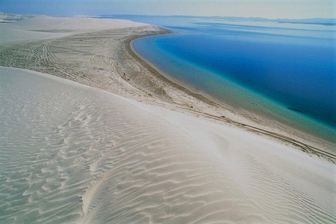 Qatar Gold Dune Safari, Dune Bashing,Camel Ride,Sand Boarding,Inland Sea Desert - Camel ride at the camp: short, photo-friendly, not a long hang