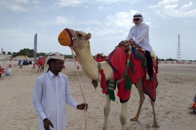 Qatar Gold Dune Safari, Dune Bashing,Camel Ride,Sand Boarding,Inland Sea Desert - Price and value: what $44.59 covers in the real world