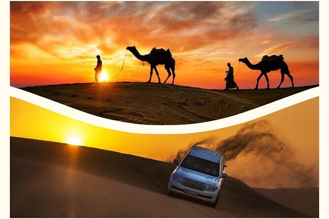 Qatar Sunset Desert Safari: Dune Bashing & Golden Sands Adventure - Quick hits before you go