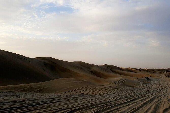 Qatar Sunset Desert Safari: Dune Bashing & Golden Sands Adventure - Price and Logistics: Why $54 Can Be a Smart Buy