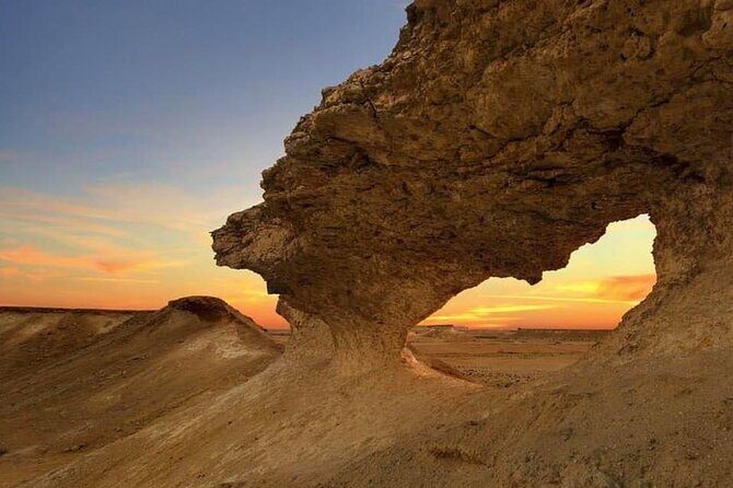 Qatar West Coast tour to Richard Serra Sculpture and Mushroom Rock Formation - Al Shahaniya Racetrack: Seeing Camel Training Up Close