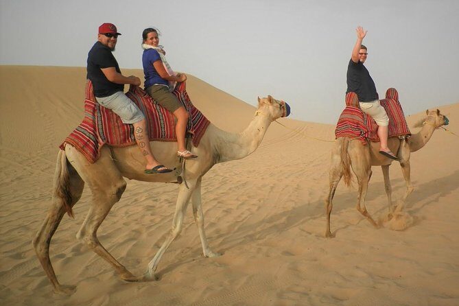 Sharing or Private Safari, Sand Boarding, Camel Ride, inland Sea Quick swim - Doha-to-Desert-to-Sea Timing That Actually Works