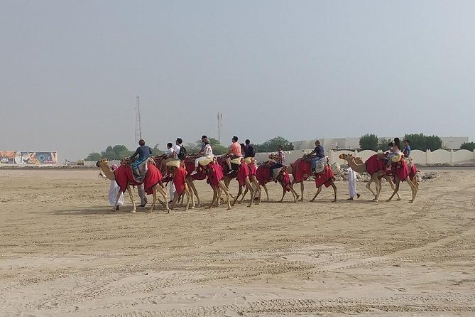 Sharing or Private Safari, Sand Boarding, Camel Ride, inland Sea Quick swim - Shared vs Private: Same Core Day, Different Comfort