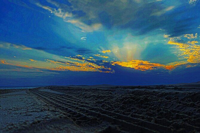 Special Private Arabic Setup with Desert safari experience. - Should you book this private desert safari with Falcon Tours?