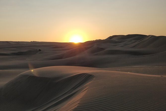 Sunrise Desert Safari in Qatar: An Unforgettable Adventure - Price and Timing: What $72 Really Buys You