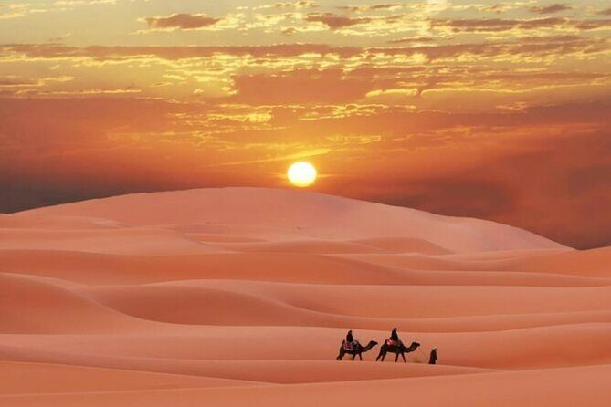 Sunrise or Sunset , Desert Safari Tour in Heart of Qatar - Key highlights