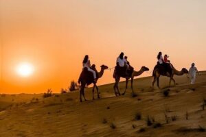 Thrilling 4-Hour Dune Bashing & Camel Ride Safari to Inland Sea - Sandboarding: Fast, Included, and Very Physical for a Short Time