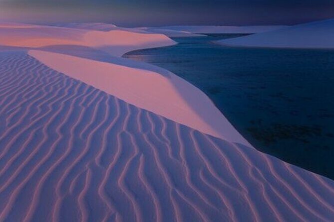 Thrilling 4-Hour Dune Bashing & Camel Ride Safari to Inland Sea - Transport Comfort, Group Size, and the Guide Factor