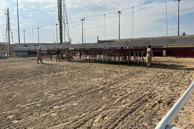 West Of Qatar, Mushroom Rocks, Camel Racing Track, Richard Serra - Richard Serra in Doha’s desert: East-West/West-East and how to see it