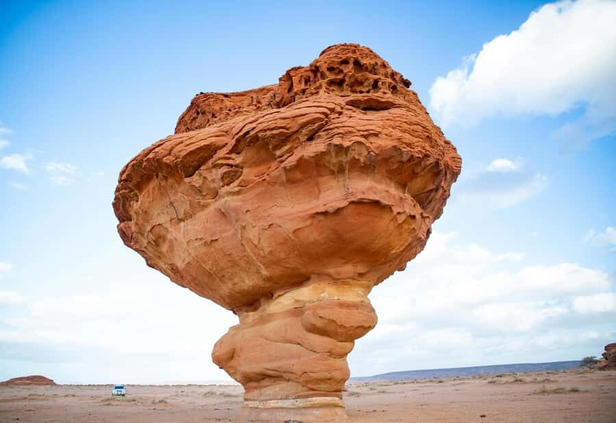 West of Qatar Richard Serra, Mushroom Hills, CamelRace track - Key takeaways before you go