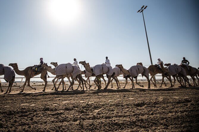 West Of Qatar Richard Serra sculpture, Mushroom Hills,Camel track - Who this tour fits best (and who might not love it)