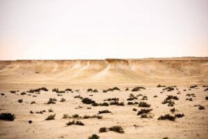 West of Qatar Tour || Richard Serra || Mushroom Rock Formation - Richard Serra’s East-West/West-East in the Brouq Nature Reserve